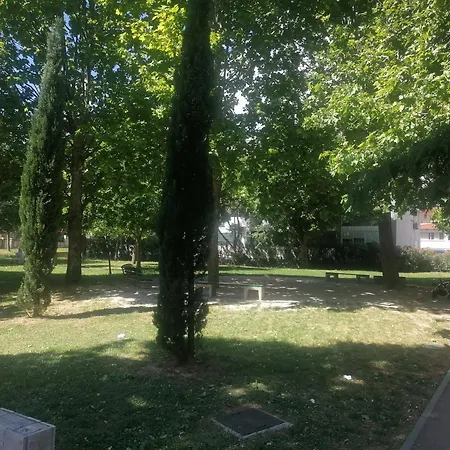 Veki